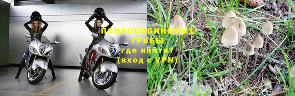 спиды Балахна