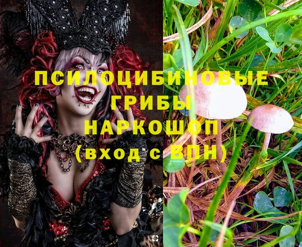 мдпв Балабаново