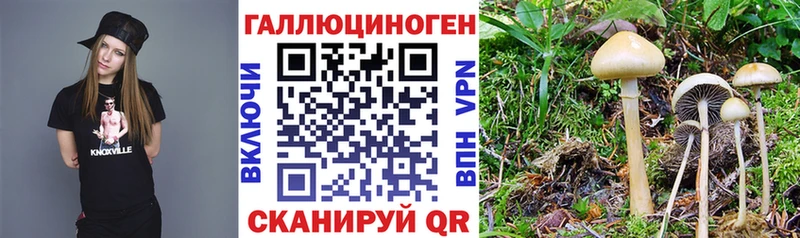 Галлюциногенные грибы ЛСД  Ульяновск 